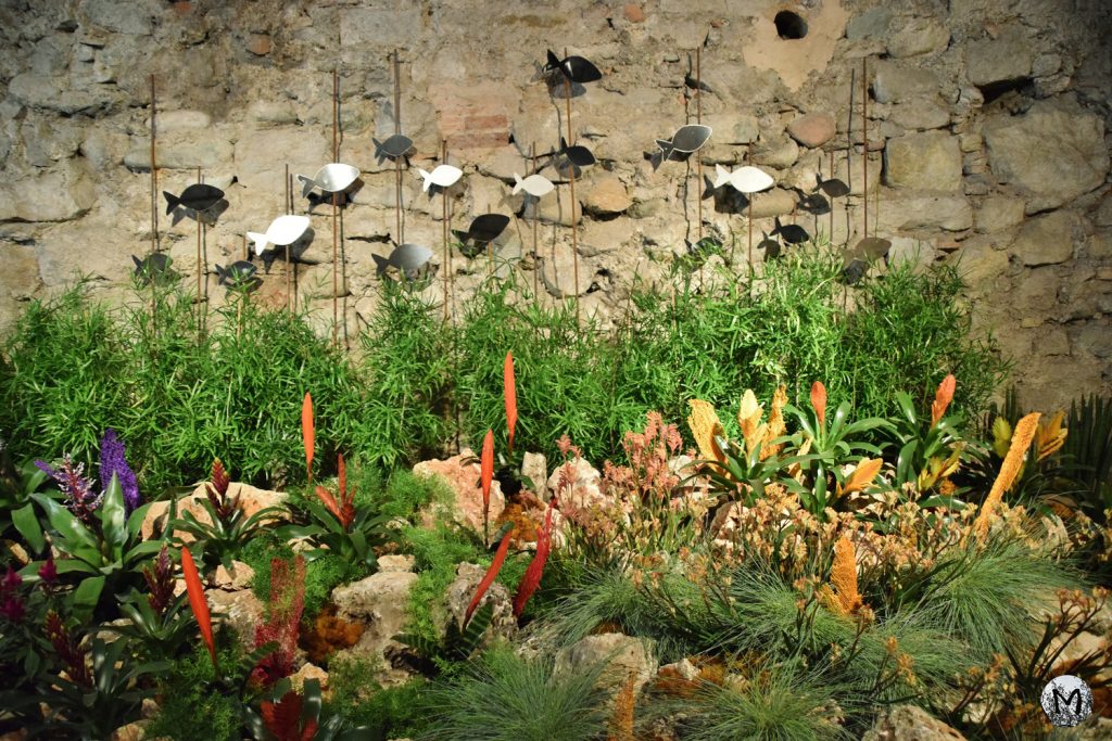 Fête, Fleurs, Gérone, Catalogne, Poissons