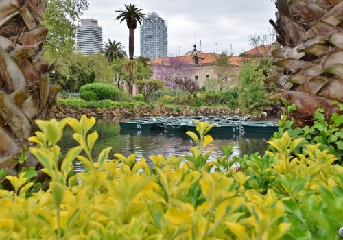 Barques accrochées entre elles, sur le lac artificiel du parc de la Ciutadella à Barcelone.
