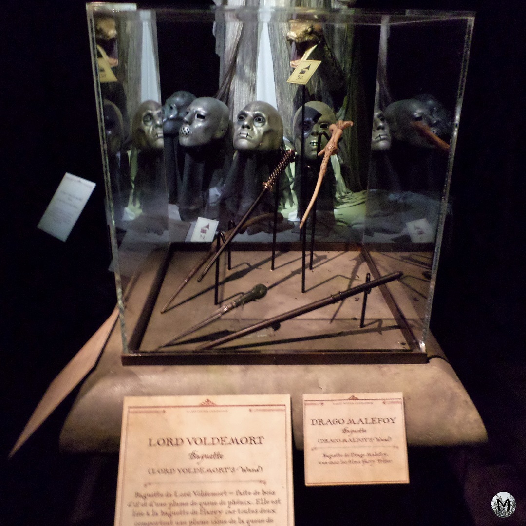 Photo des baguettes de Voldemort et Malefoy