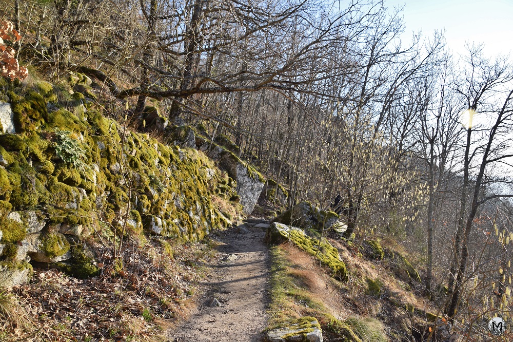 Photo du chemin de la cascade de Rûnes