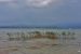 Panorama sur le Lac de Garde à Sirmione