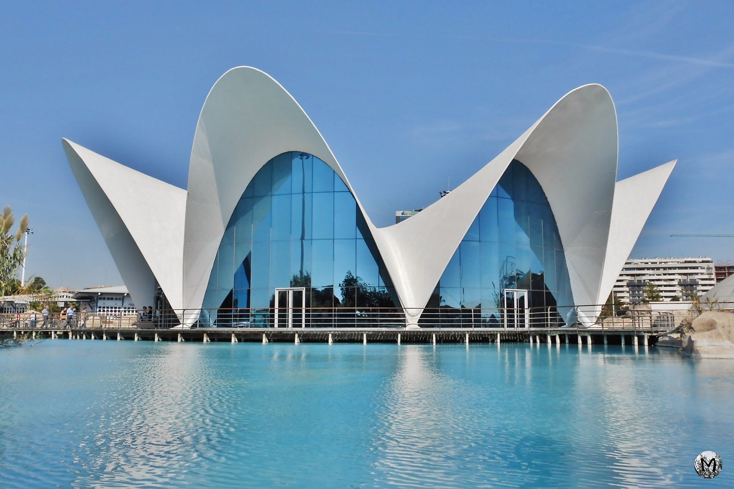 Architecture originale de l'aquarium de Valencia