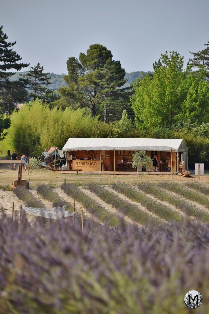 Terre Ugo, Boutique, Lavande, Produits, Vente