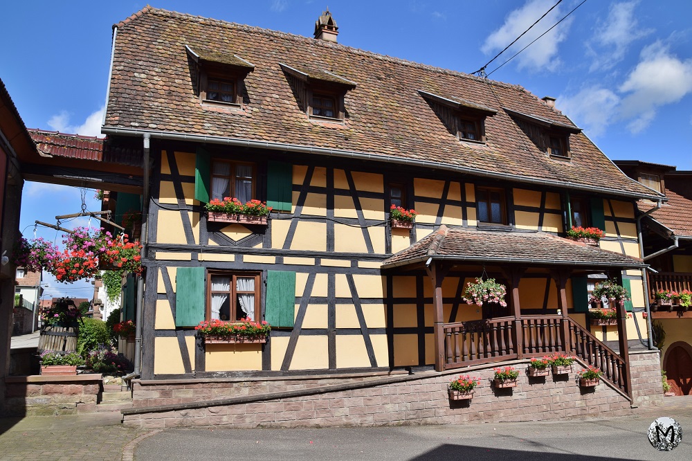 Gîte traditionnel dans le village de Bossendorf
