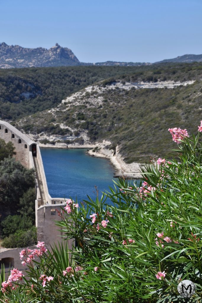 Remparts et fleurs dans la ville de Bonifacio