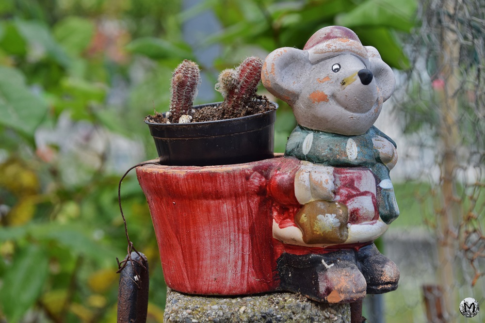Pot de cactus avec une décoration de souris