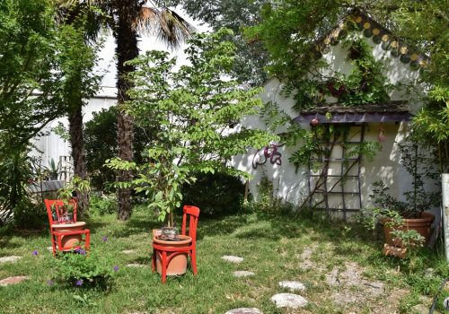 Chaises rouges servant de pots pour arbres