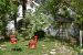 Chaises rouges servant de pots pour arbres