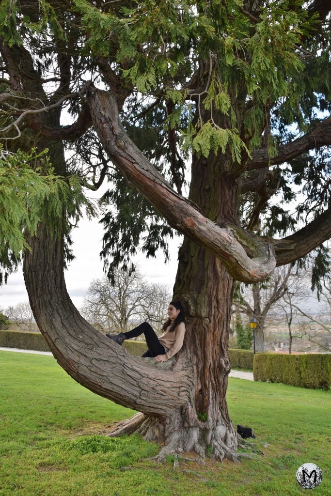 Mélanie Escach posant dans un arbre
