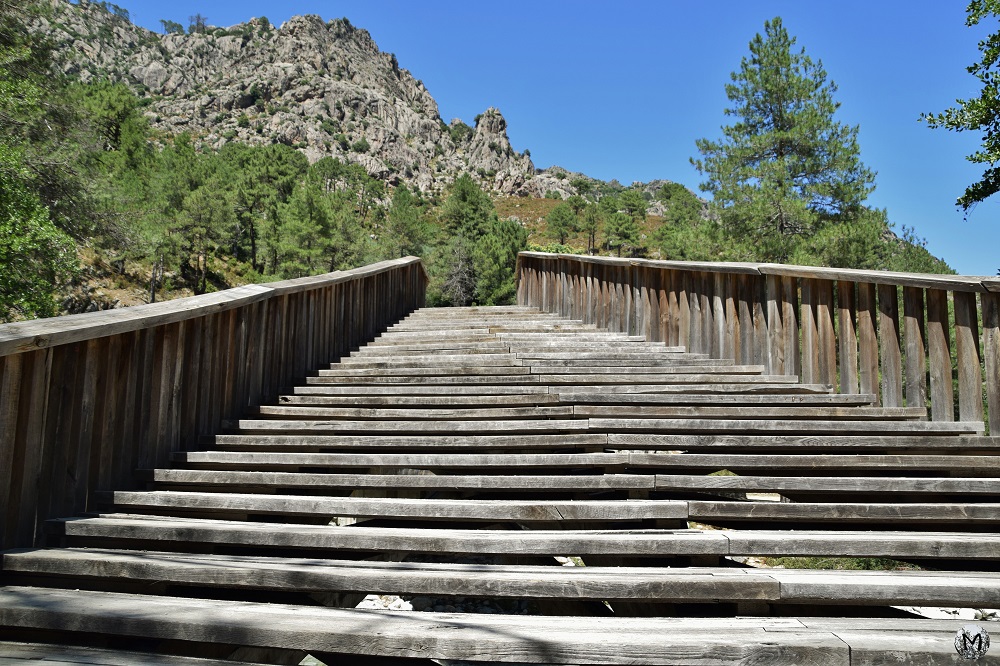 Pont en bois pour traverser la Restonica
