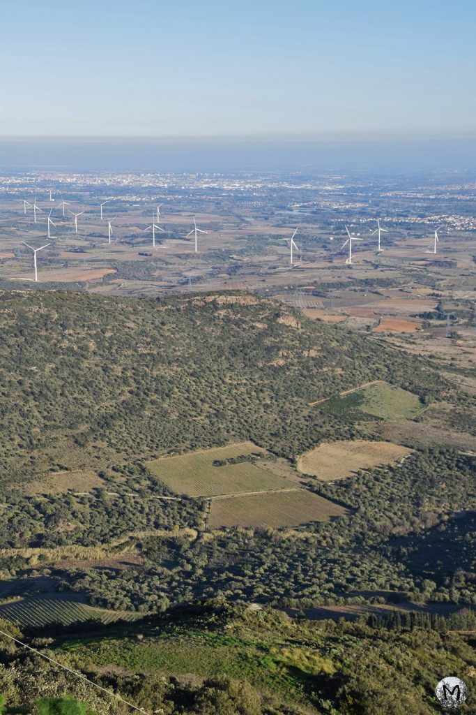 Vue sur les éoliennes en plaine du Roussillon