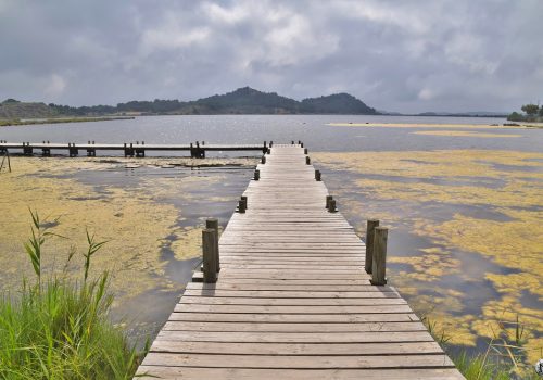 Paysage de Peyriac de Mer avec ses passerelles