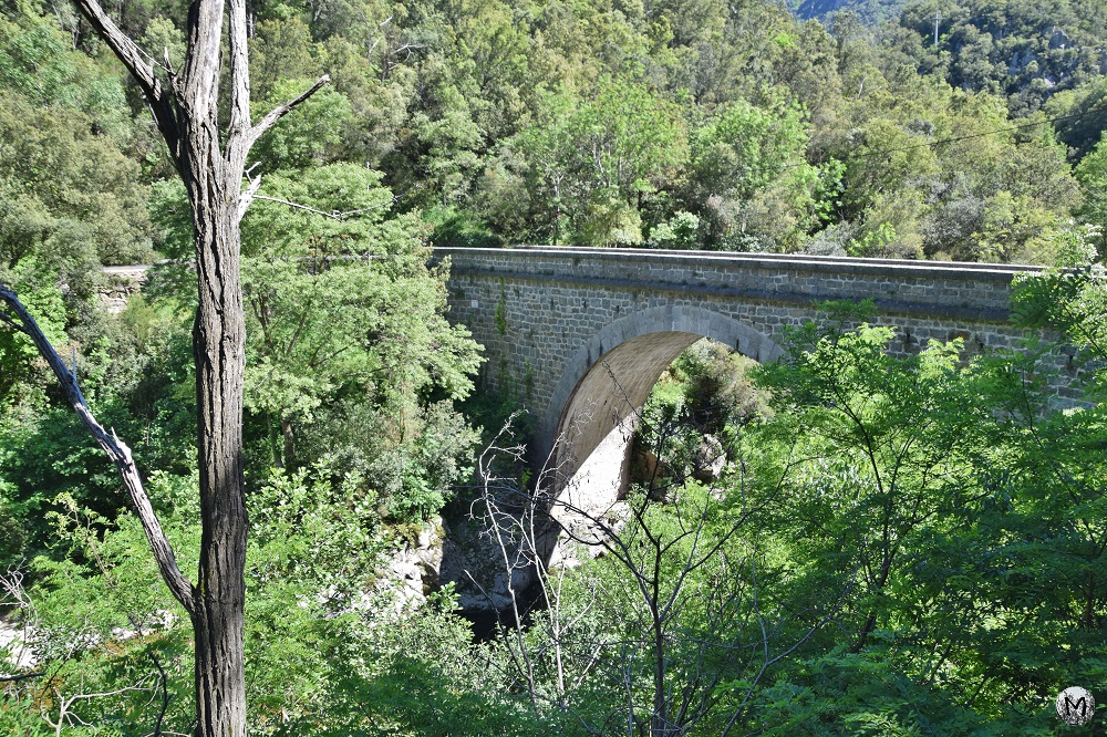 Le Pont de Riubanys dans la végétation