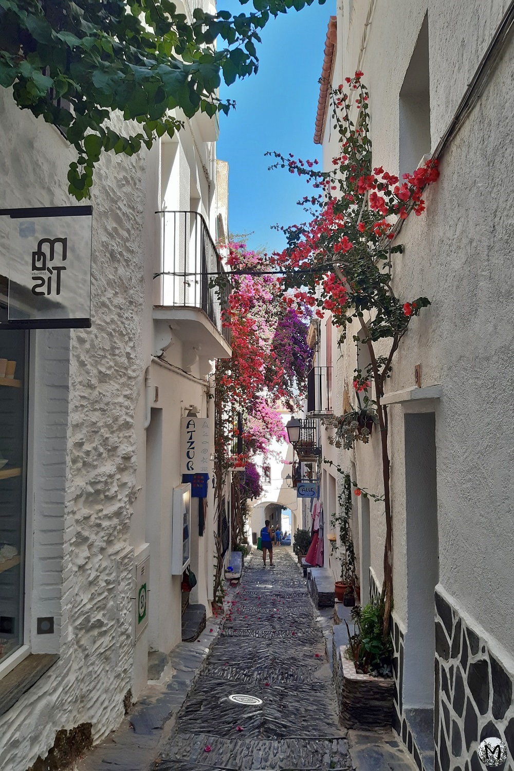 Maisons blanches et fleurs à Cadaqués