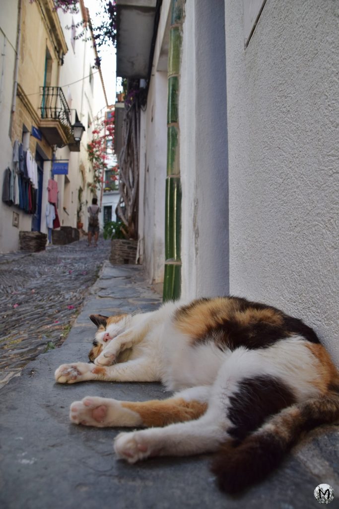 Un chat qui dort dans une rue de Cadaqués