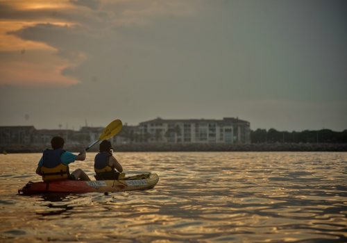Couple de dos en train de faire du kayak de mer