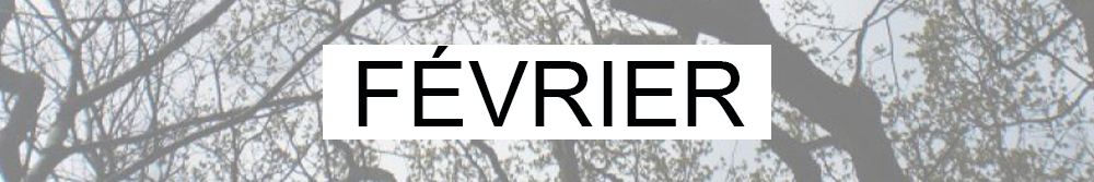Bannière de blog pour le mois de février