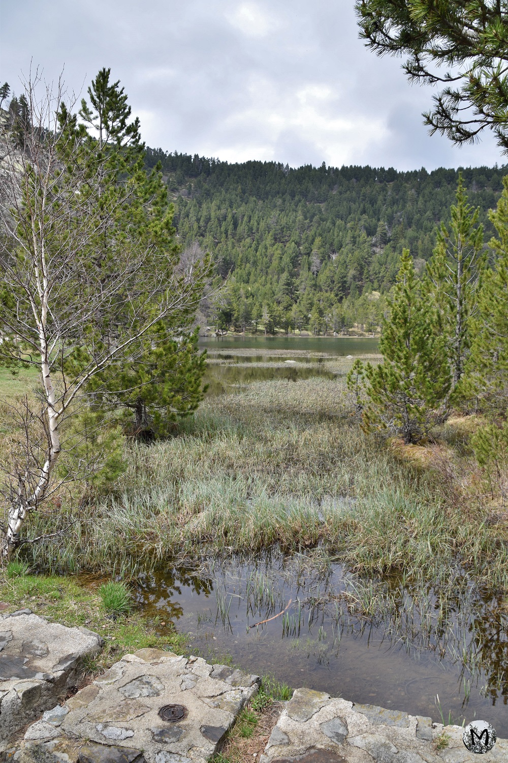 Paysage du Lac de Balcère aux Angles
