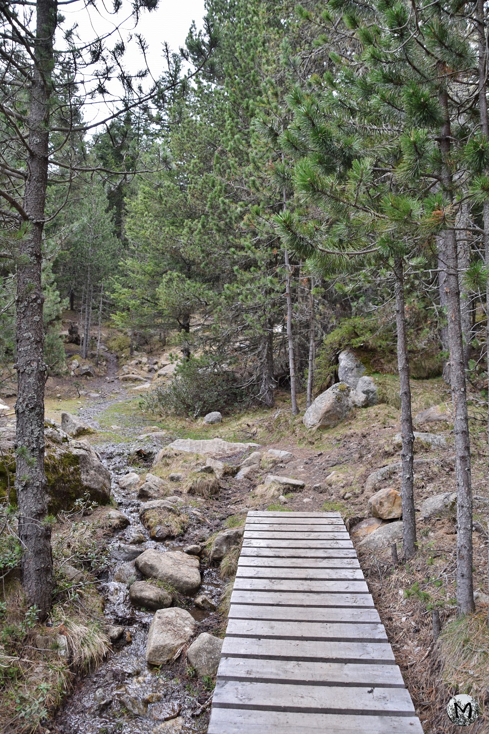 Passerelle en bois pour se balader à Balcère
