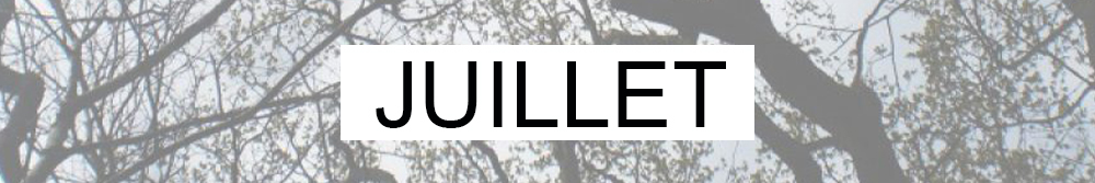 Photo de la bannière du mois de juillet