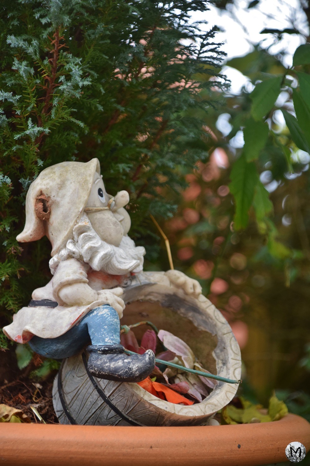 Nain de jardin sur un pot de feuilles mortes