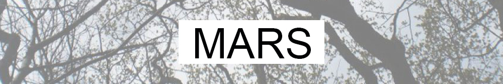 Bannière pour la newsletter de Mars