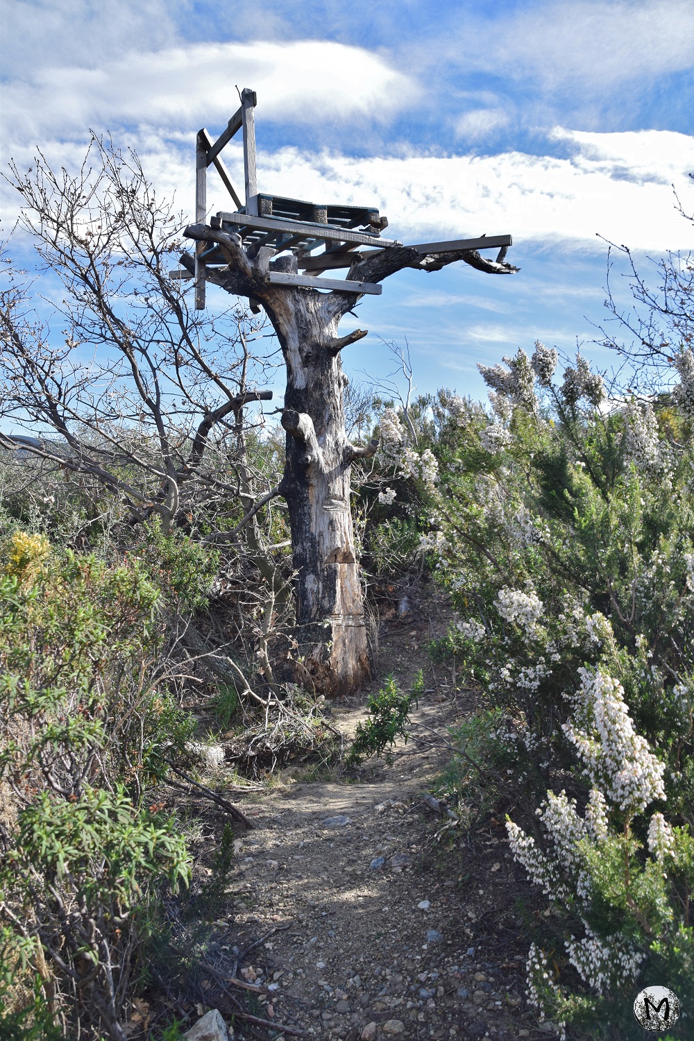 Structure de repérage pour la chasse à Rodès