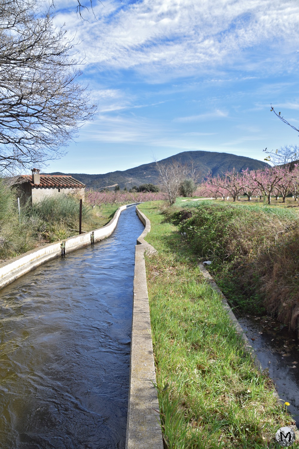 Champs au printemps et canal de Rodès