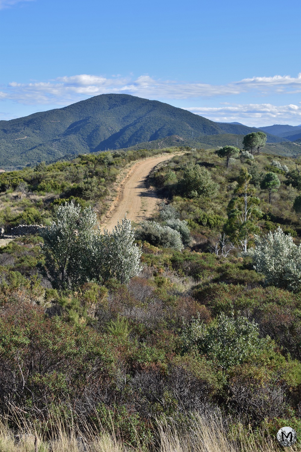 Sentier dans la nature environnante de Rodès