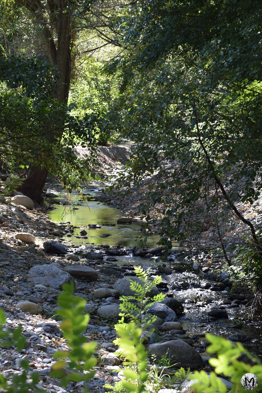 Nature autour de la rivière de Rodès
