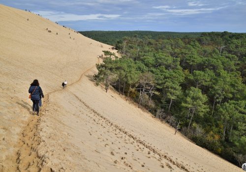 La dune du Pilat et la forêt des Landes