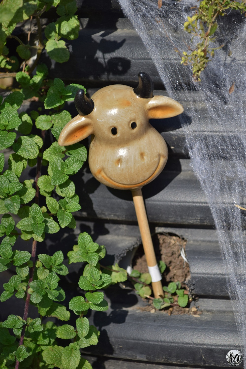 Décoration de vache sur une plantation
