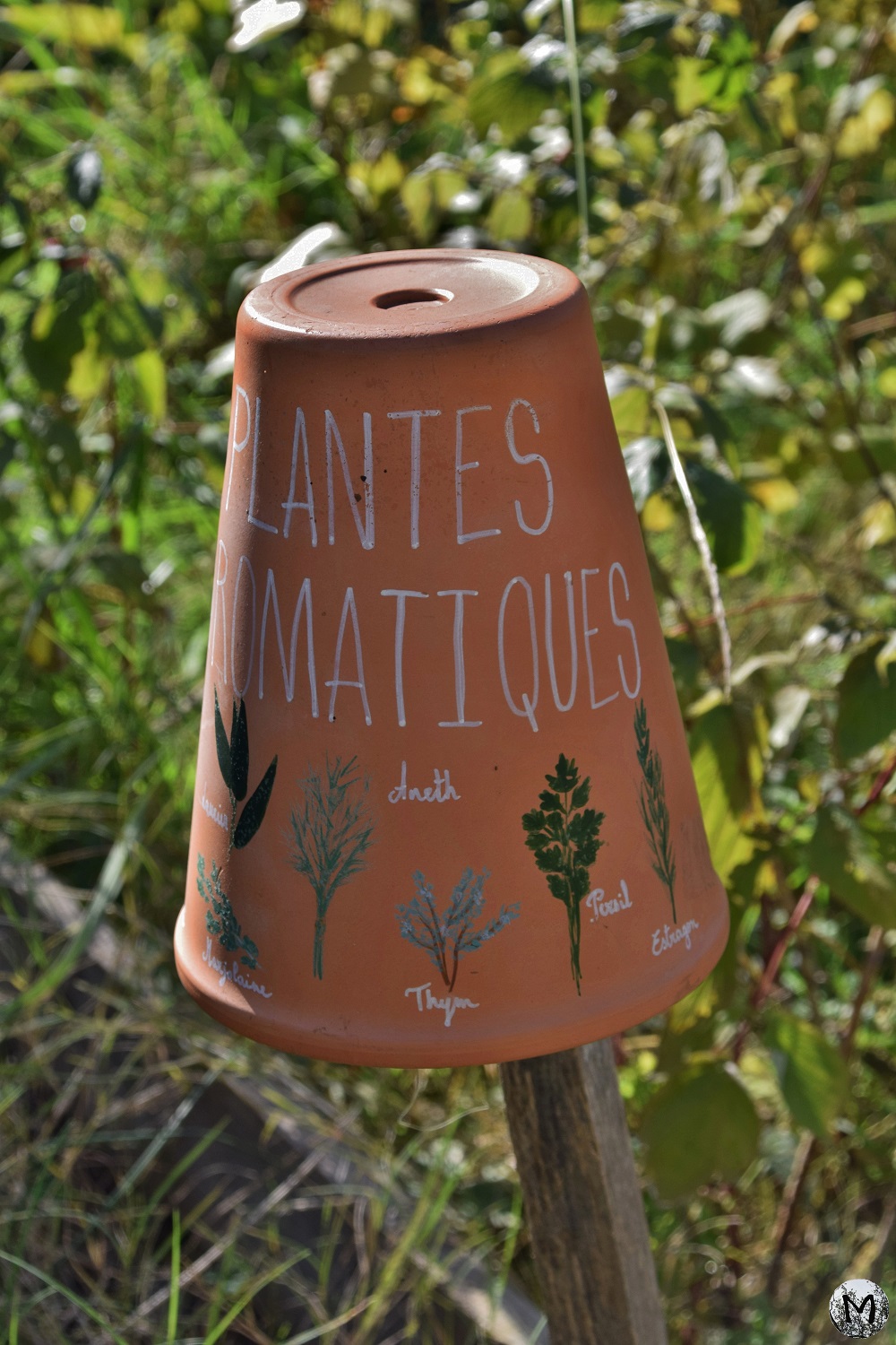 Pot représentant des plantes aromatiques