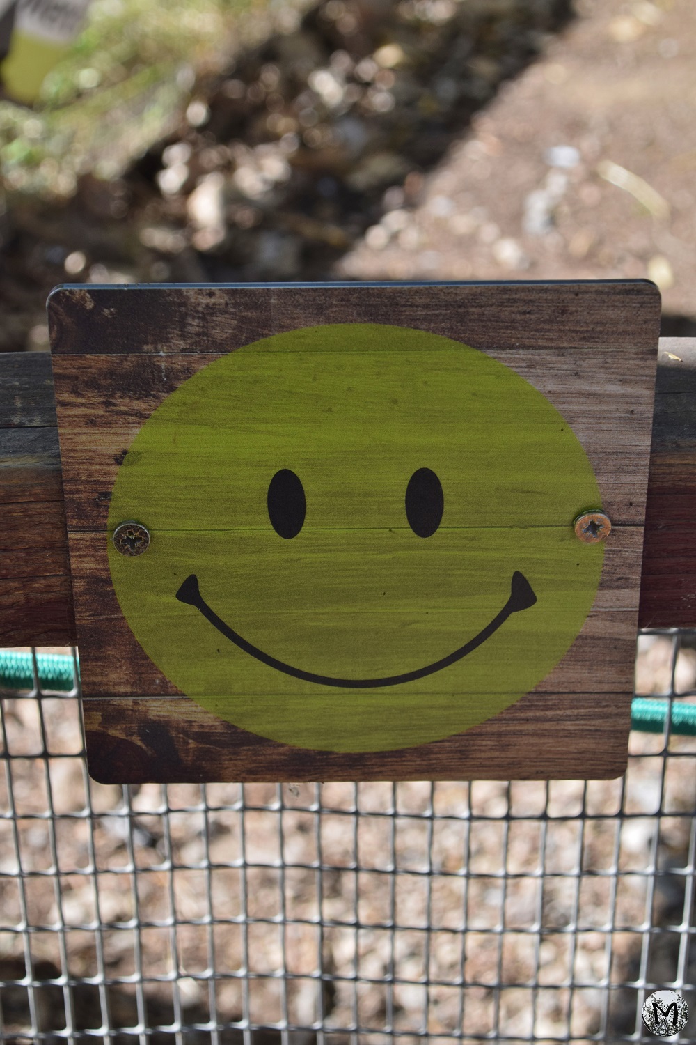 Smiley vert sur un panneau en bois