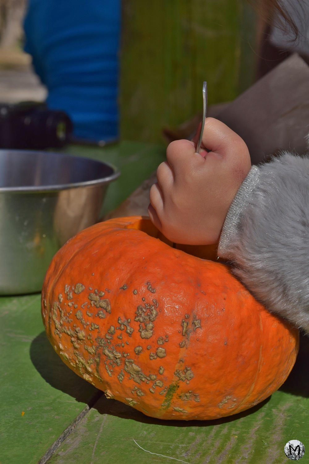 Vidage d'une citrouille pour Halloween