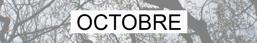 Barrière pour la newsletter d'Octobre
