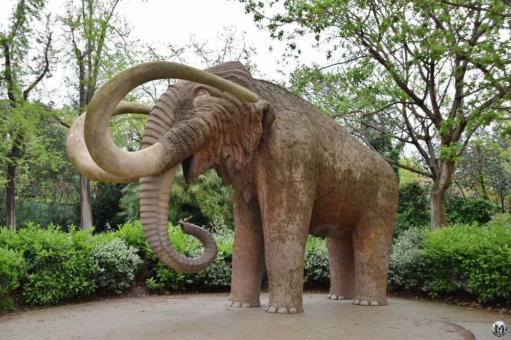 Sculpture de Mammouth à taille réelle