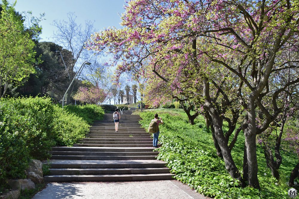 Escalier pour accéder au château du Mont-Juïc
