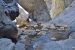 Un homme dans les Gorges de Galamus