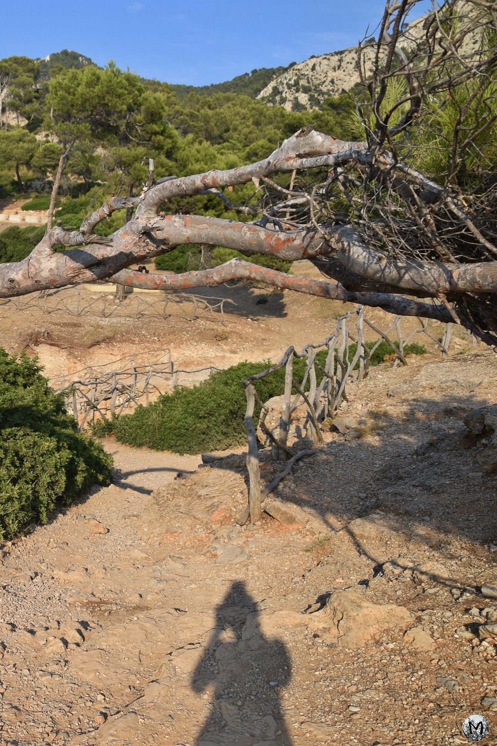 Paysage naturel de l'île de Majorque
