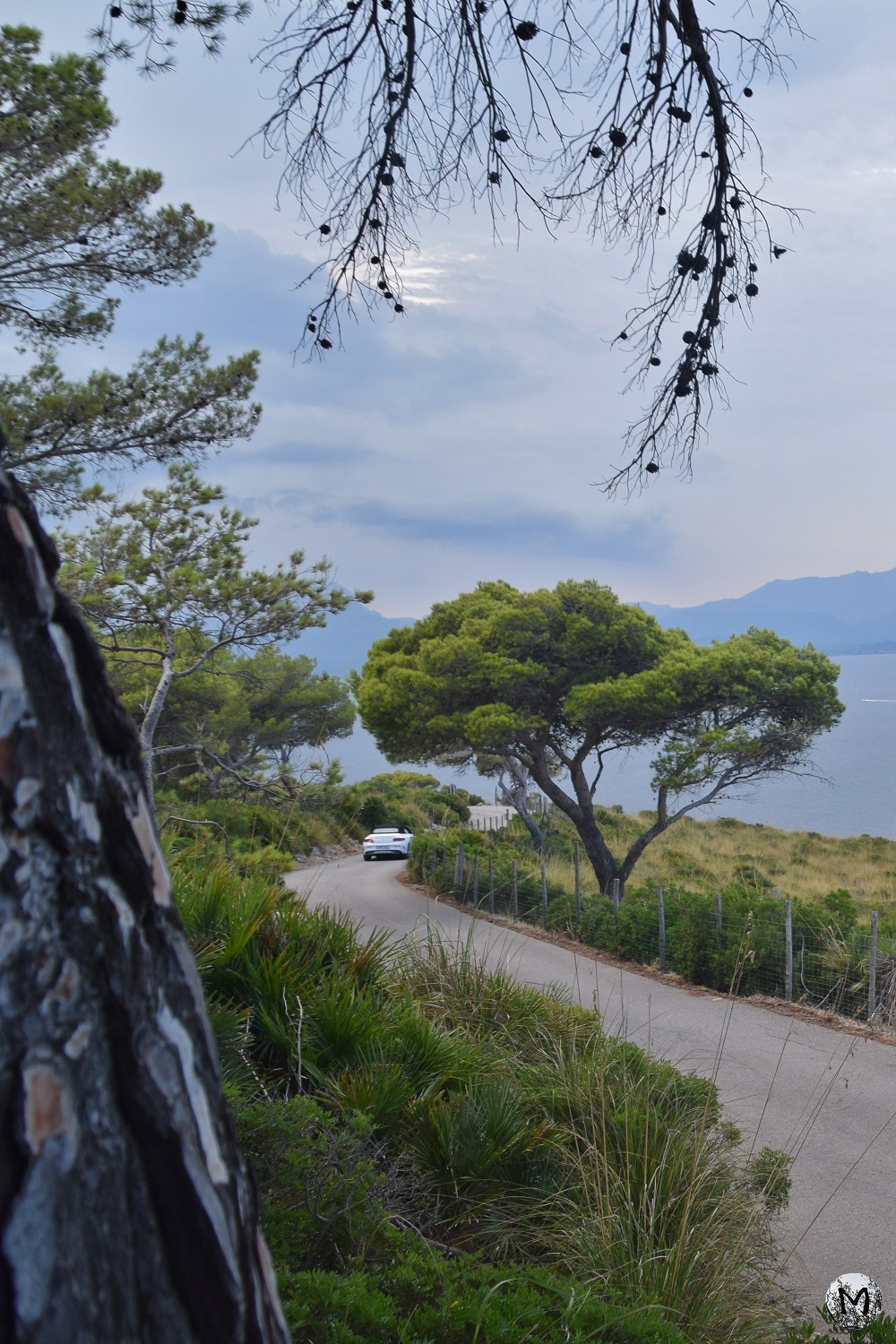 Réserve naturelle près d'Alcudia