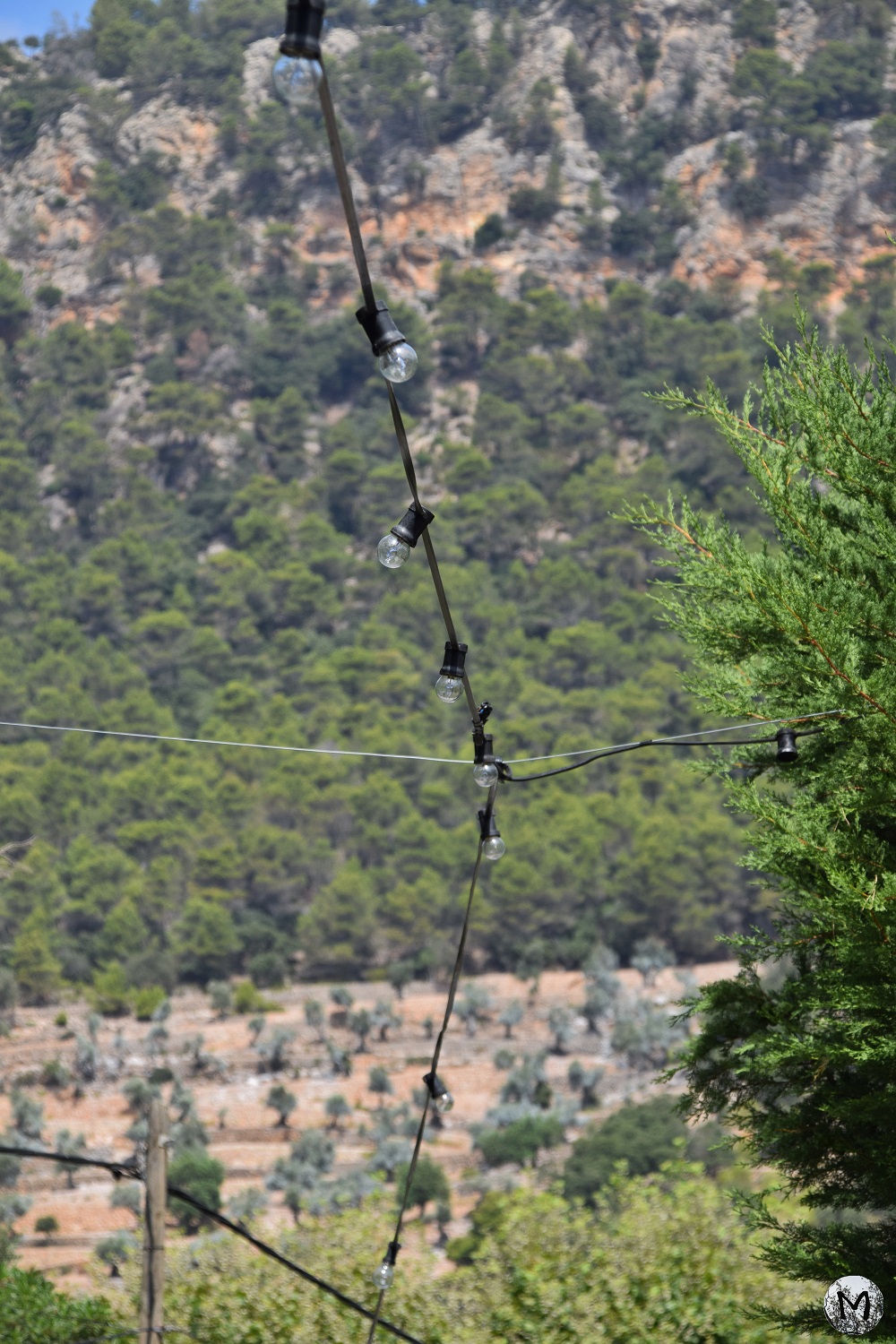 Ampoules suspendues à Valldemossa