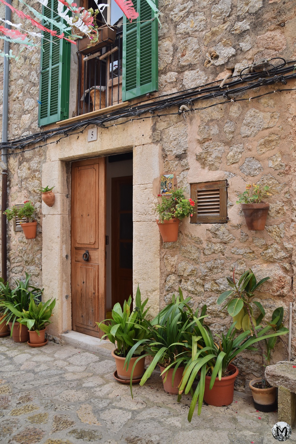 Plantes devant une façade à Valldemossa