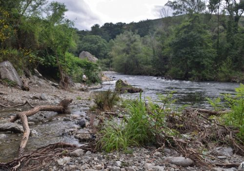 Bord de la rivière à Ille-sur-Têt