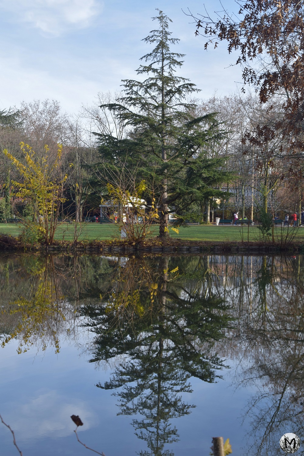 Reflets d'un arbre au parc de Compans