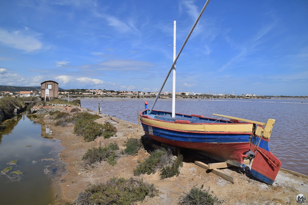 Link 3